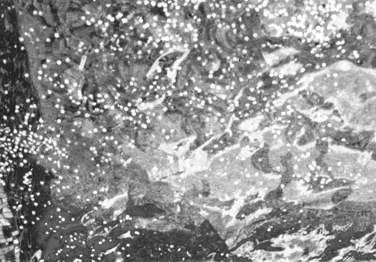 confetti.grayscale.ink-1-yellow.webp